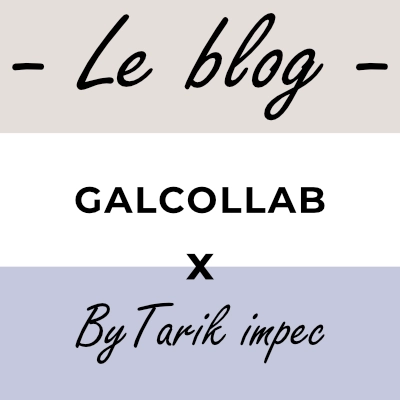 photo le blog galcollab by tarik impec